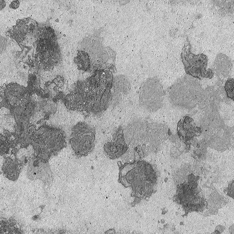 ttc-al-disposal ttc-al-disposal